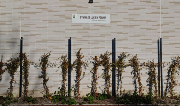 Gymnase_Pornin_Monthléry_Perin